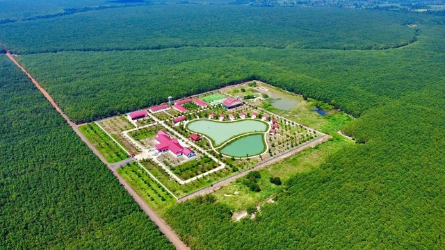 VRG đánh giá trữ lượng carbon rừng cao su để thương mại hóa